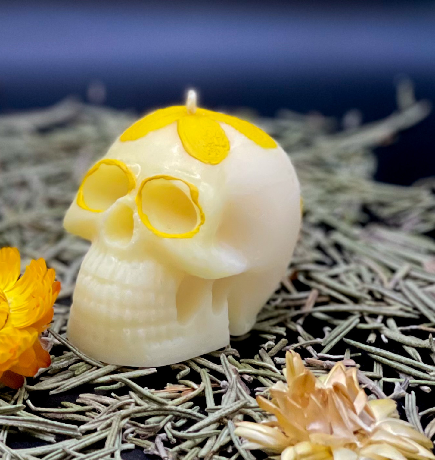 CALAVERITAS