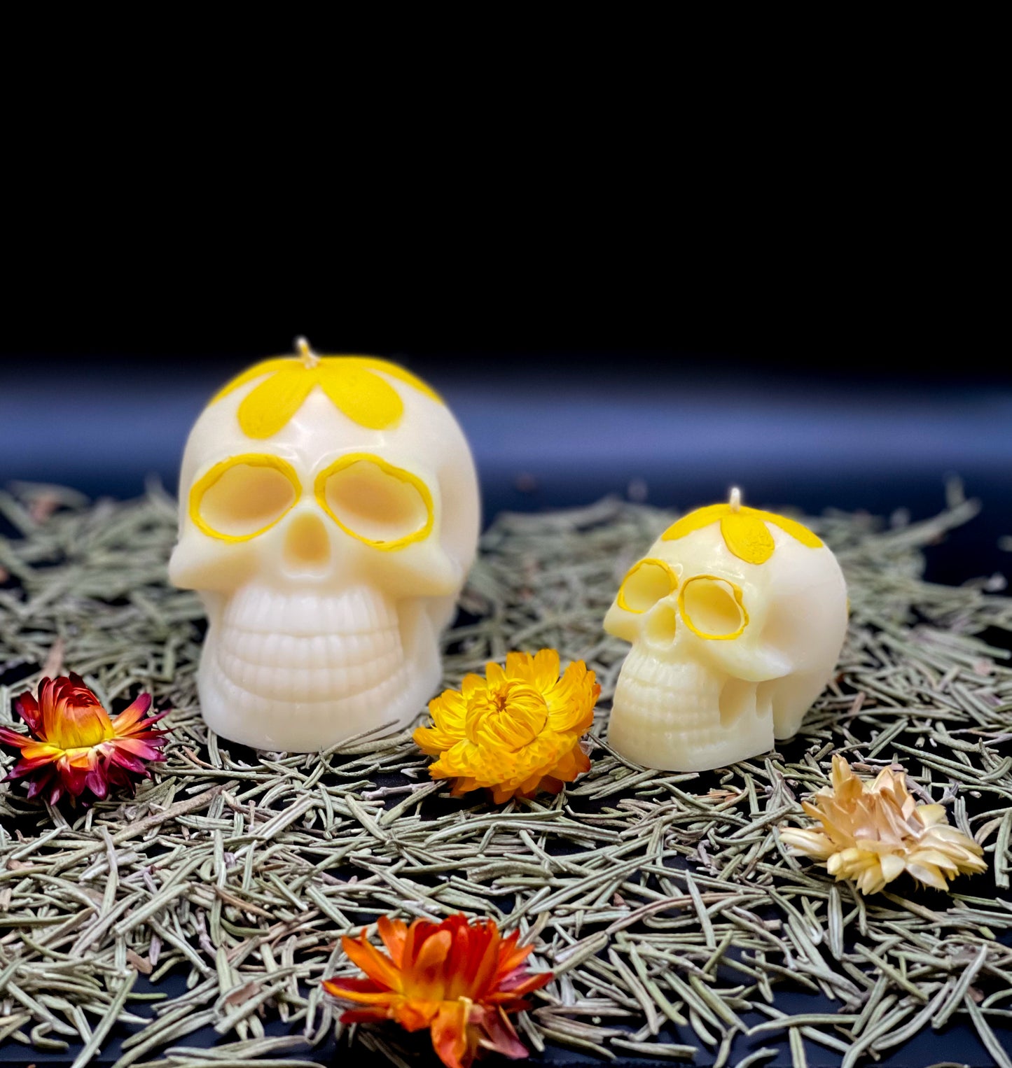 CALAVERITAS