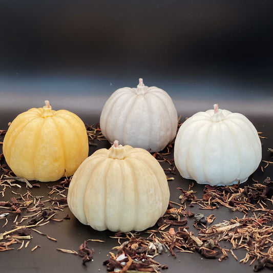 KIT  "Gran CALABAZA"